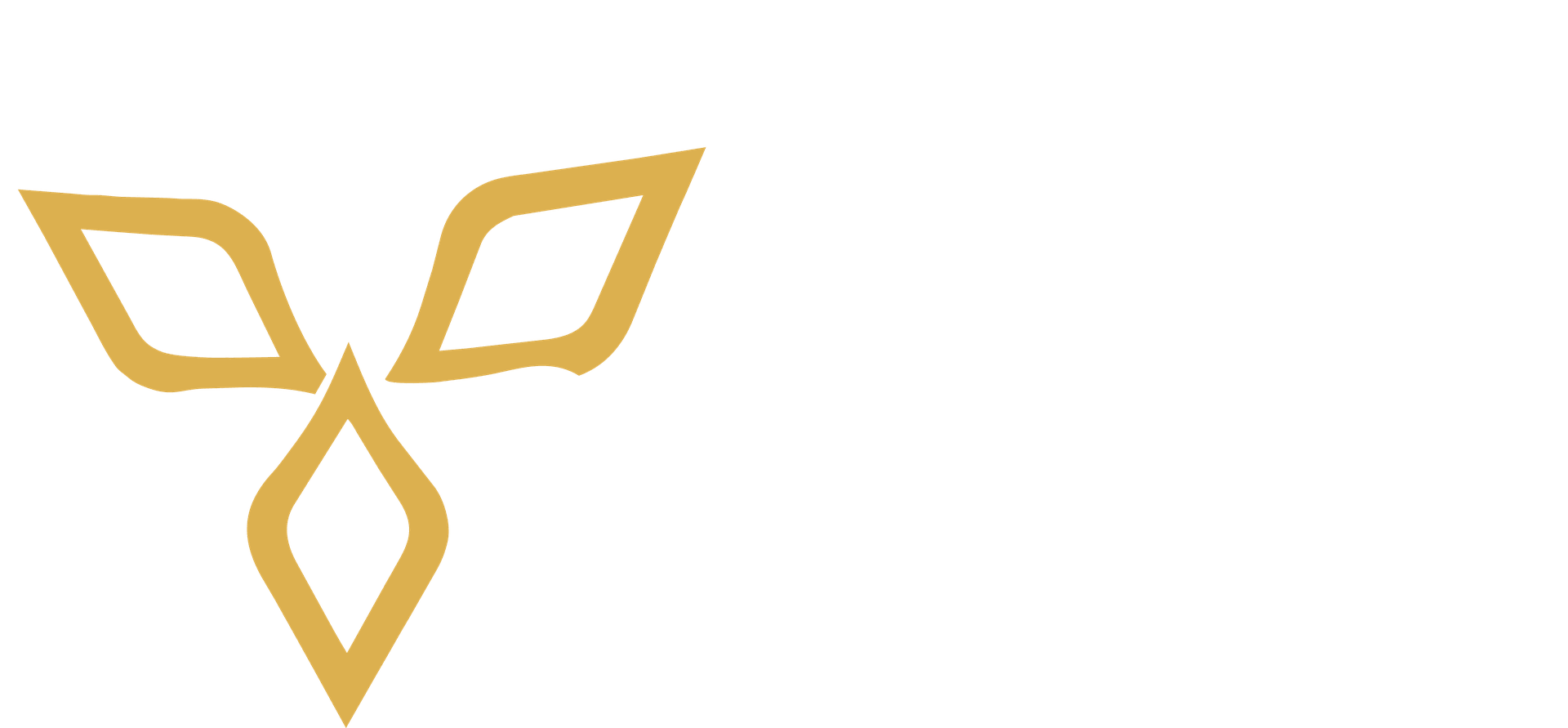 Royal Auto Spa